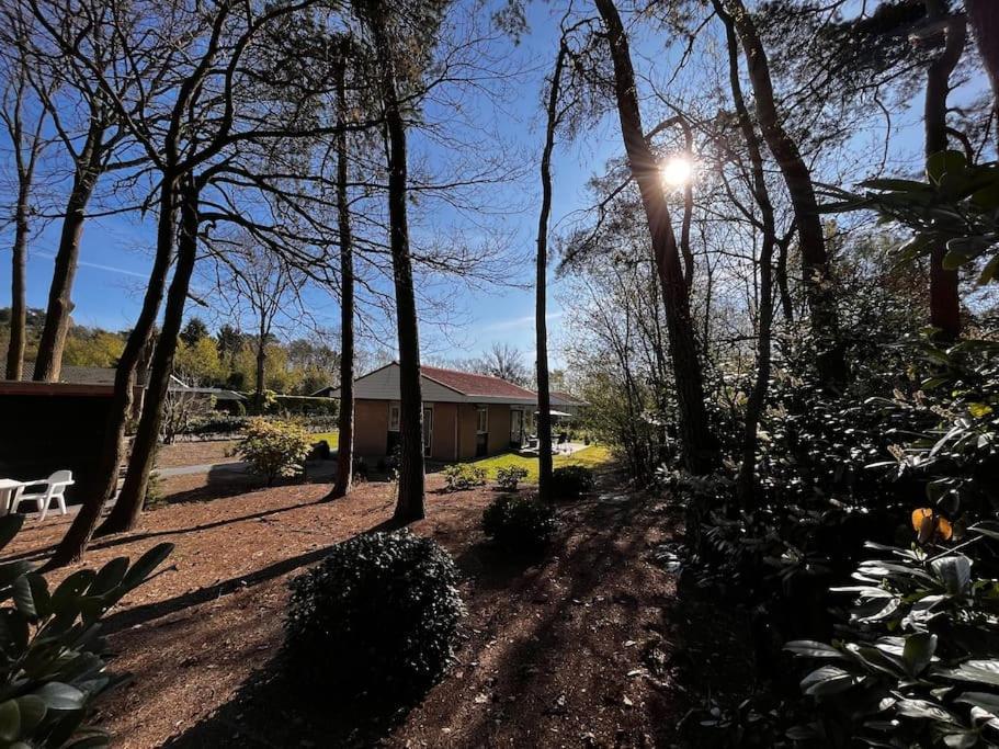 Fijne Plek Met Eigen Bos 2000M2 En Gratis Linnen En Handdoeken!! 代讷坎普 外观 照片